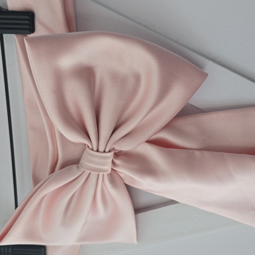 Host PICK! David's Bridal Light Pink Girls Formal Dress Sash